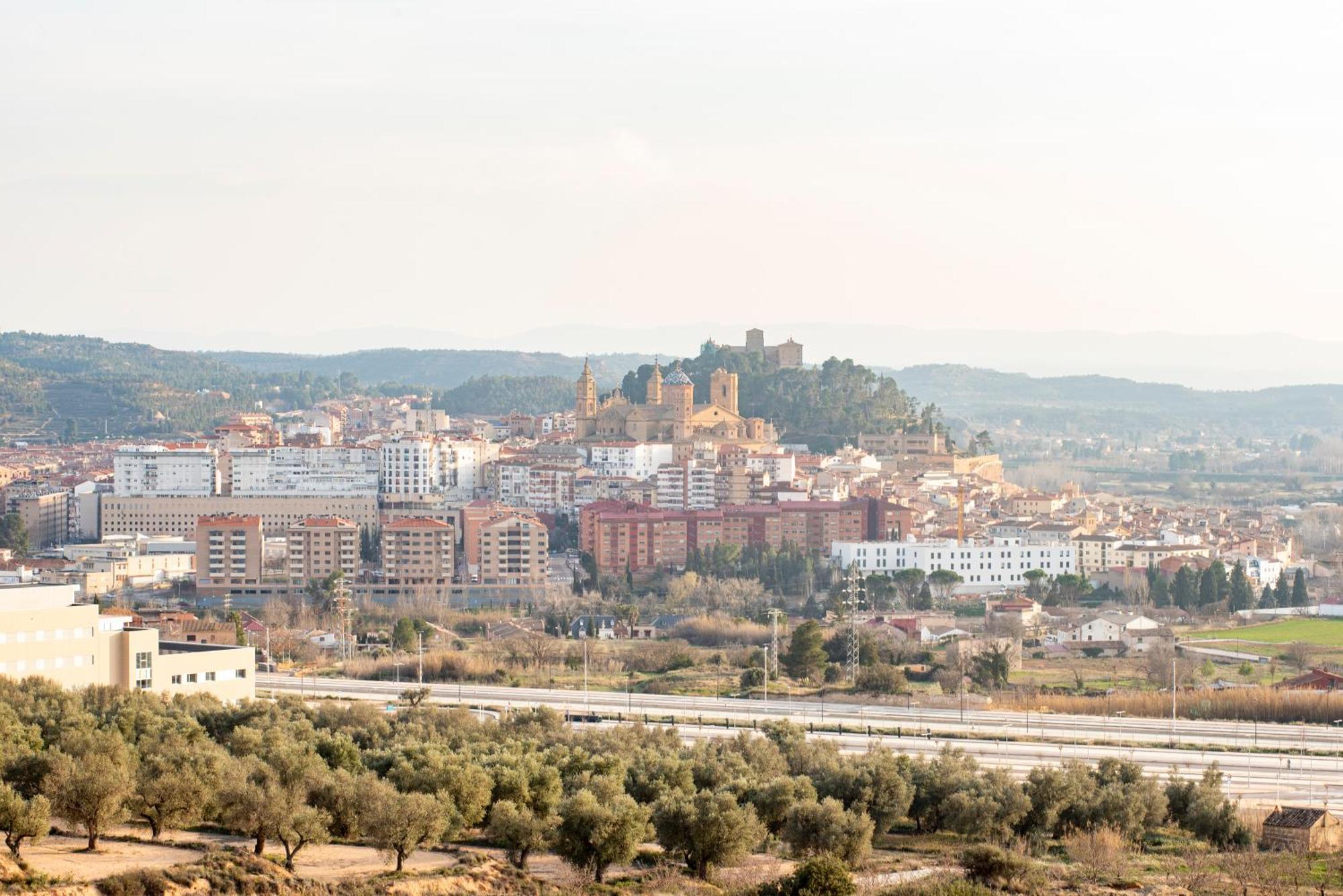 Angeles Alcañiz
